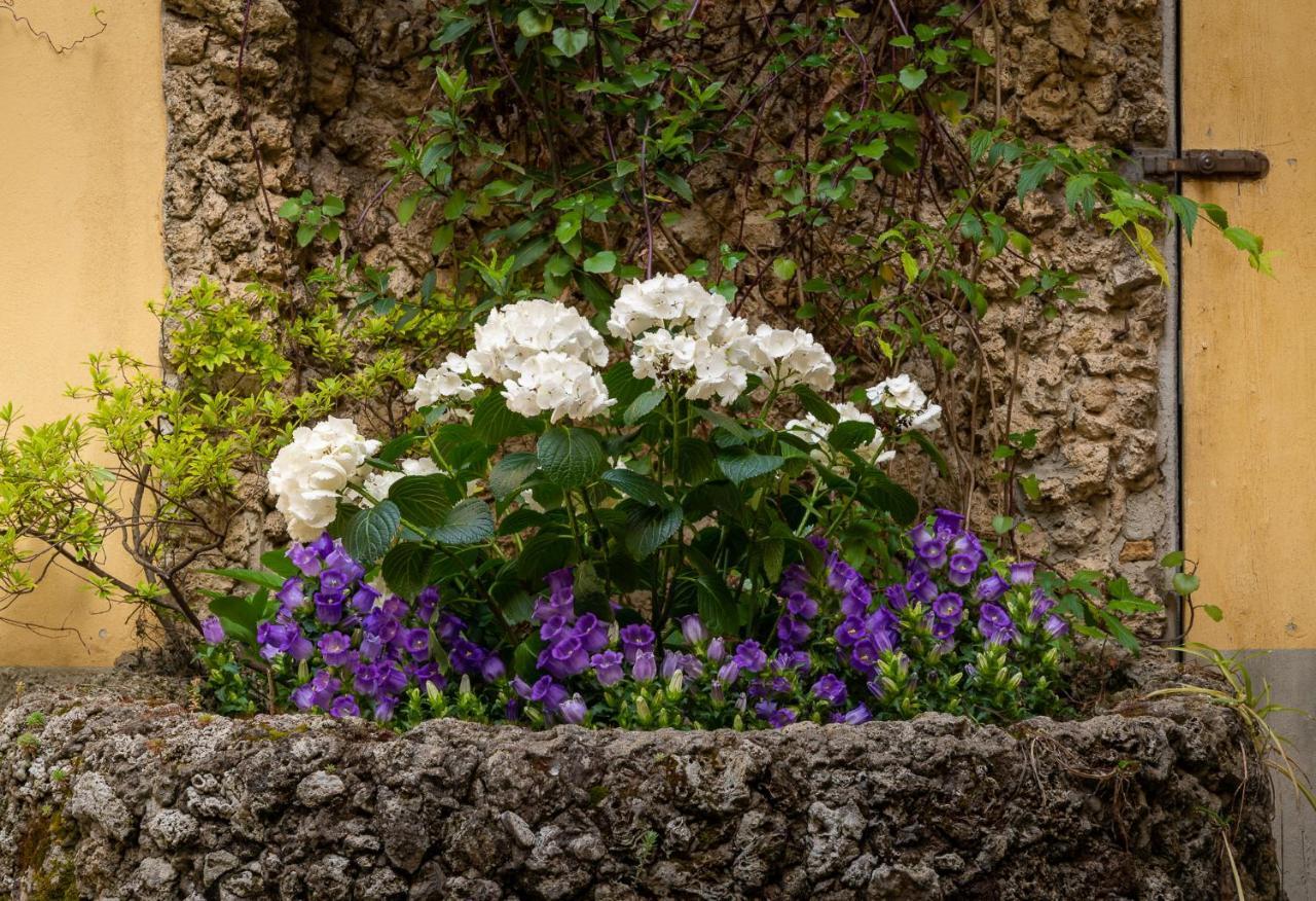 Residenza Il Villino B&B Florencie Exteriér fotografie